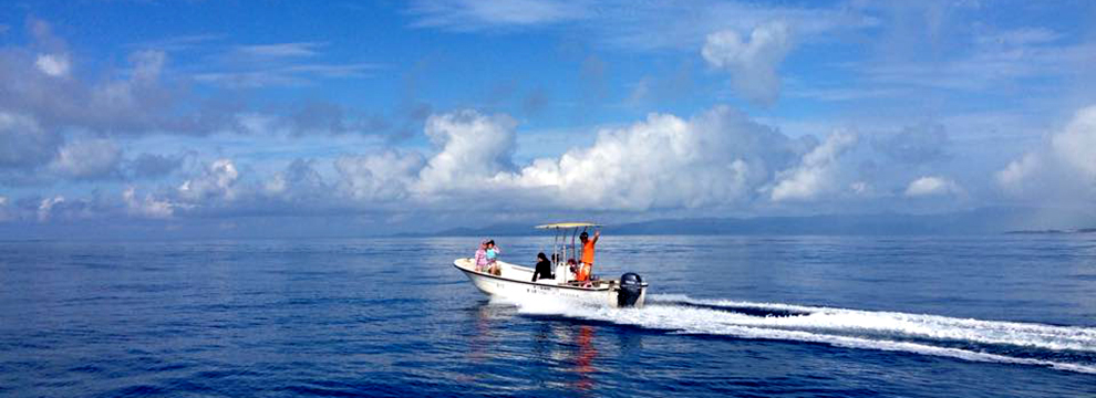 石垣のベストな時間の海とマングローブ満喫！シーカヤック＆マングローブカヤックコース【Ｊ１】