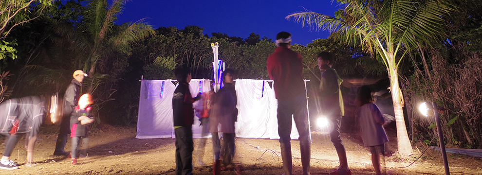 石垣島でライトトラップ！特殊な昆虫採集コース【M】